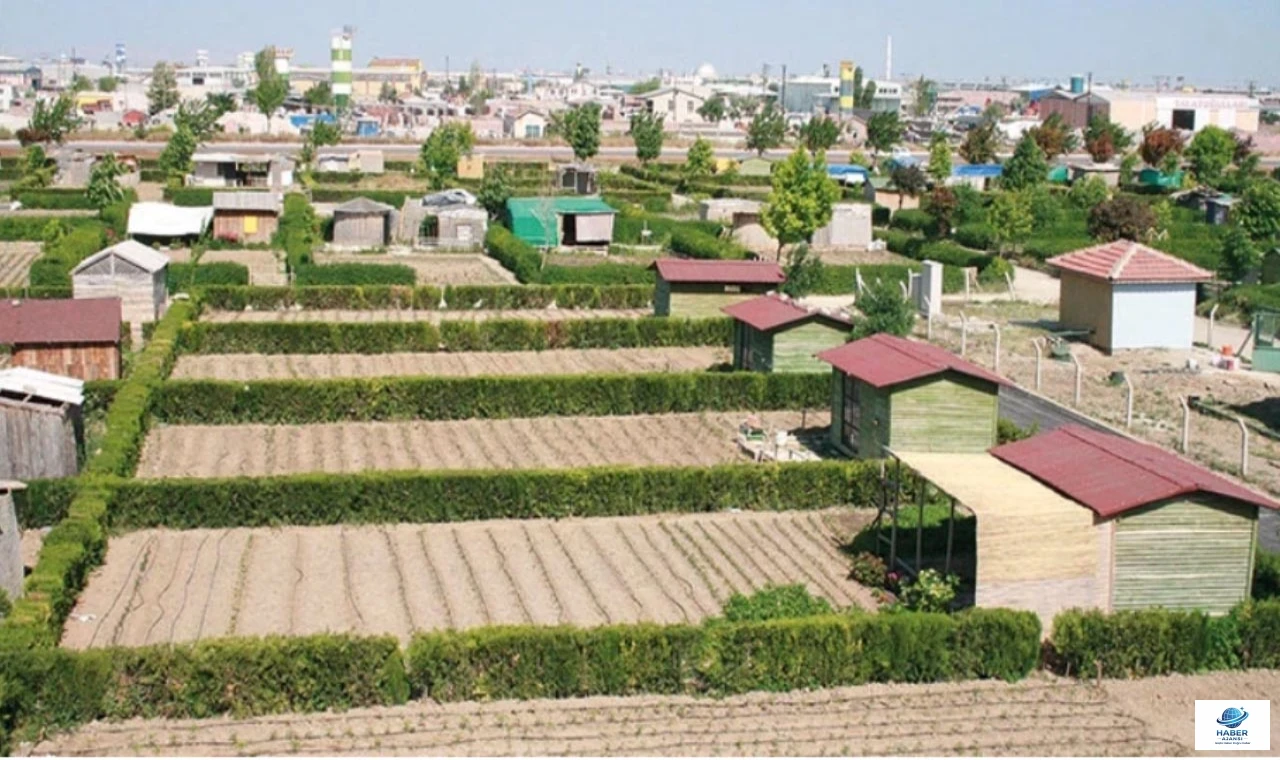 Hobi bahçelerindeki hukuk garabeti TBMM'de