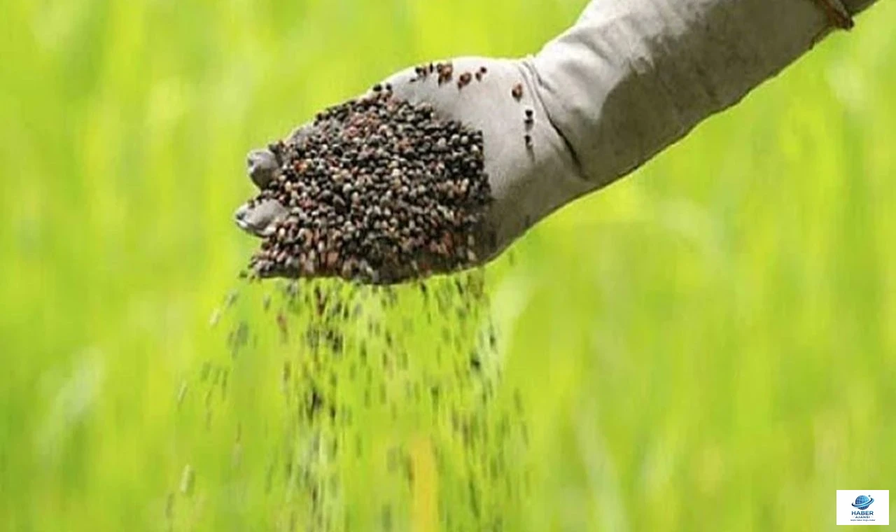 Savaş tarlayı da vurdu: Üre fiyatı bir haftada uçtu, çiftçi gübre alamaz oldu!