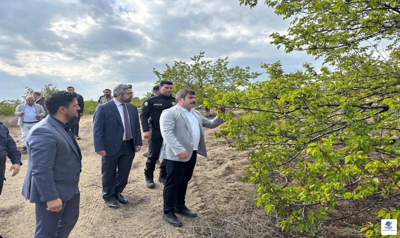 Baskil'de Kayısı Bahçelerinde İnceleme: Üreticilerin Sorunları Dinlendi