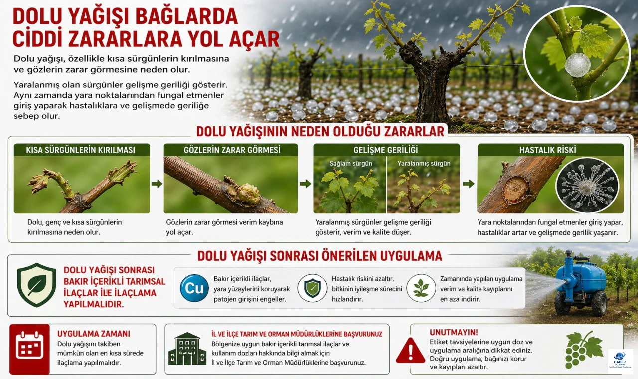 Elazığ Tarım ve Orman İl Müdürlüğü’nden bağcılara dolu uyarısı