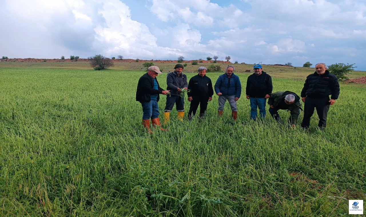 Elazığ’da Dolu Felaketi: Tarım Bölgeleri Havadan ve Karadan Mercek Altında