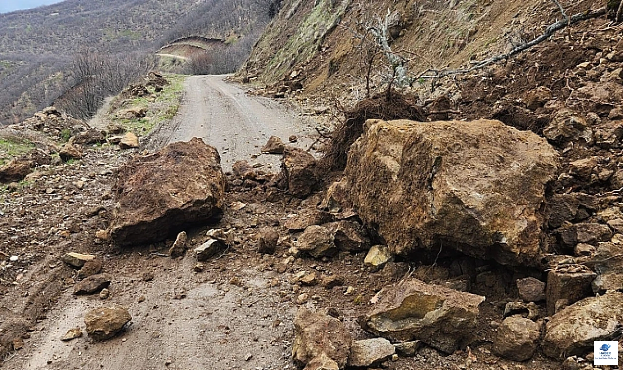 Karakoçan Korudibi köy yolunda toprak kayması
