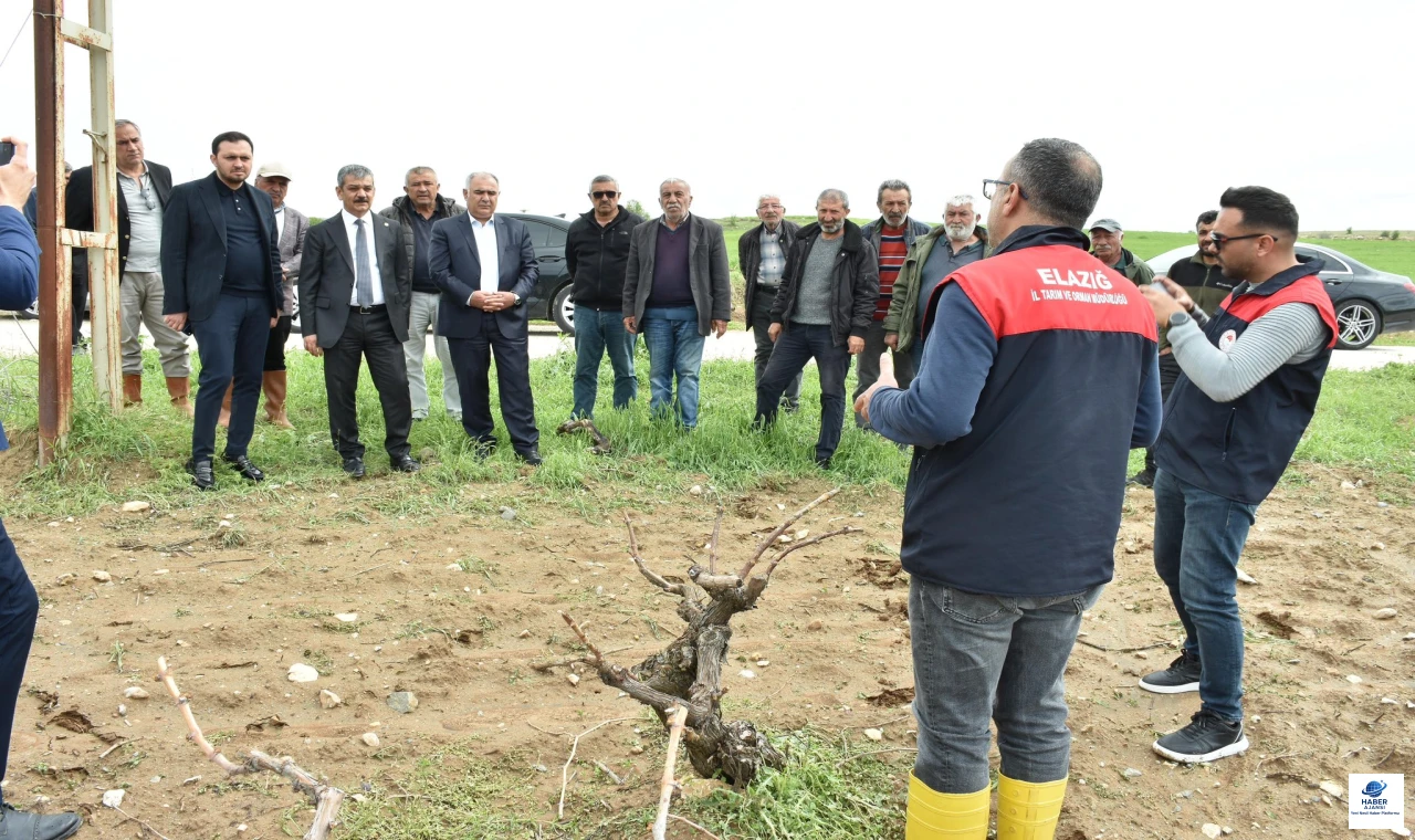 Milletvekili Keleş, doludan etkilenen köylerde incelemelerde bulundu