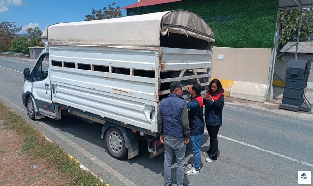 Bayram öncesi hayvan hareketleri denetimi aralıksız sürüyor