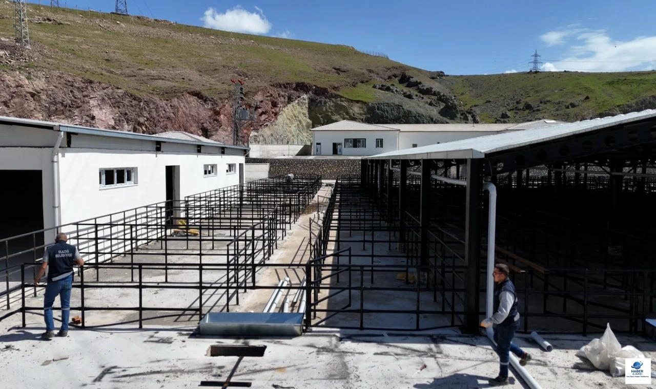 Elazığ Belediyesi'nden Kurban Bayramı Hazırlığı: Yeni Satış ve Kesim Alanı Hizmete Hazırlanıyor