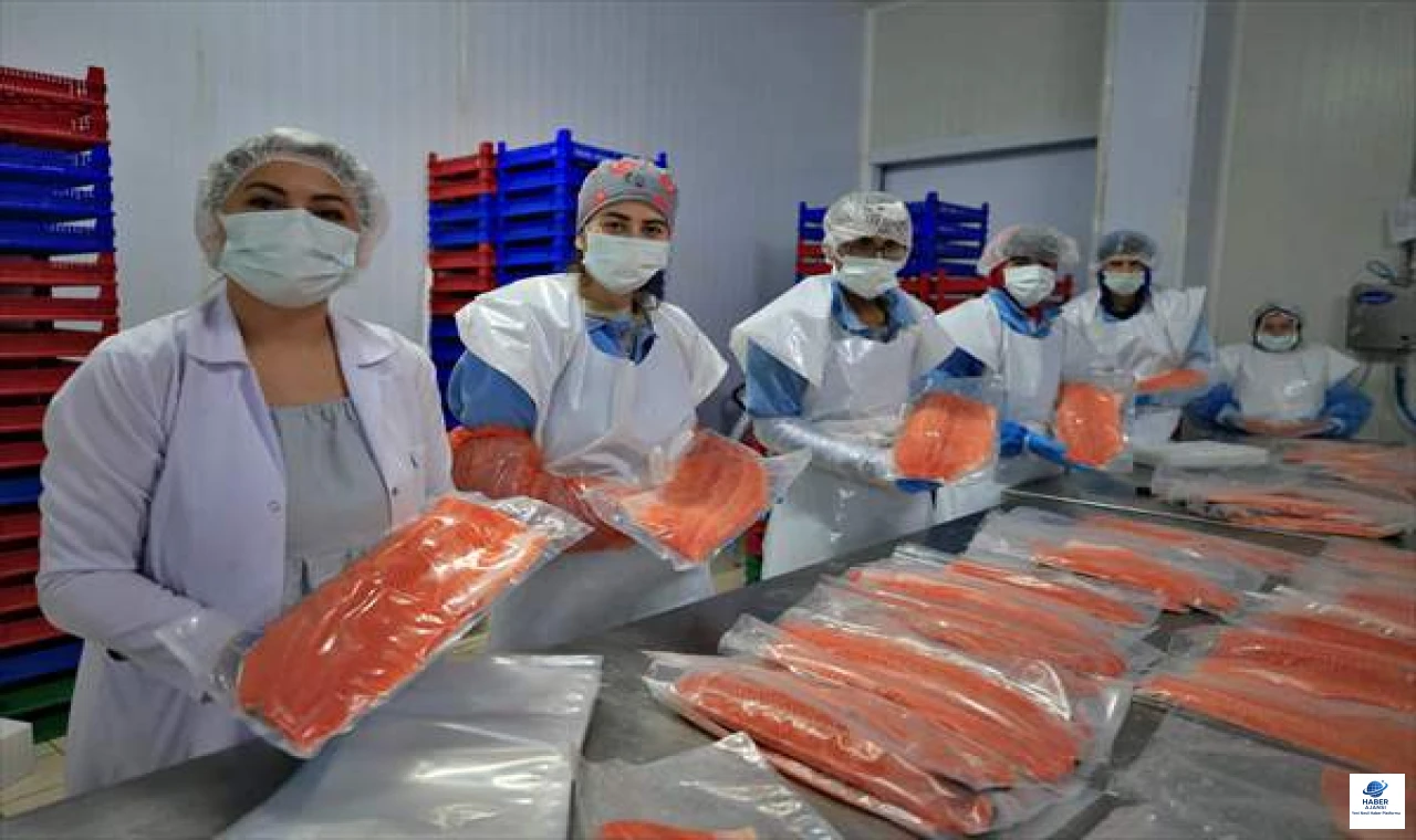 Elazığ, Türk Somonu Üretiminde Türkiye Birincisi Oldu