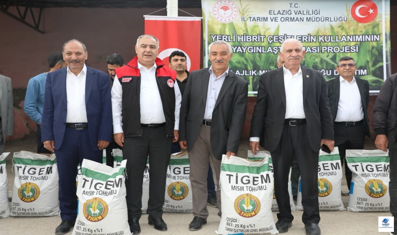 Elazığ’da üreticilere  yerli hibrit silajlık mısır tohumu verildi