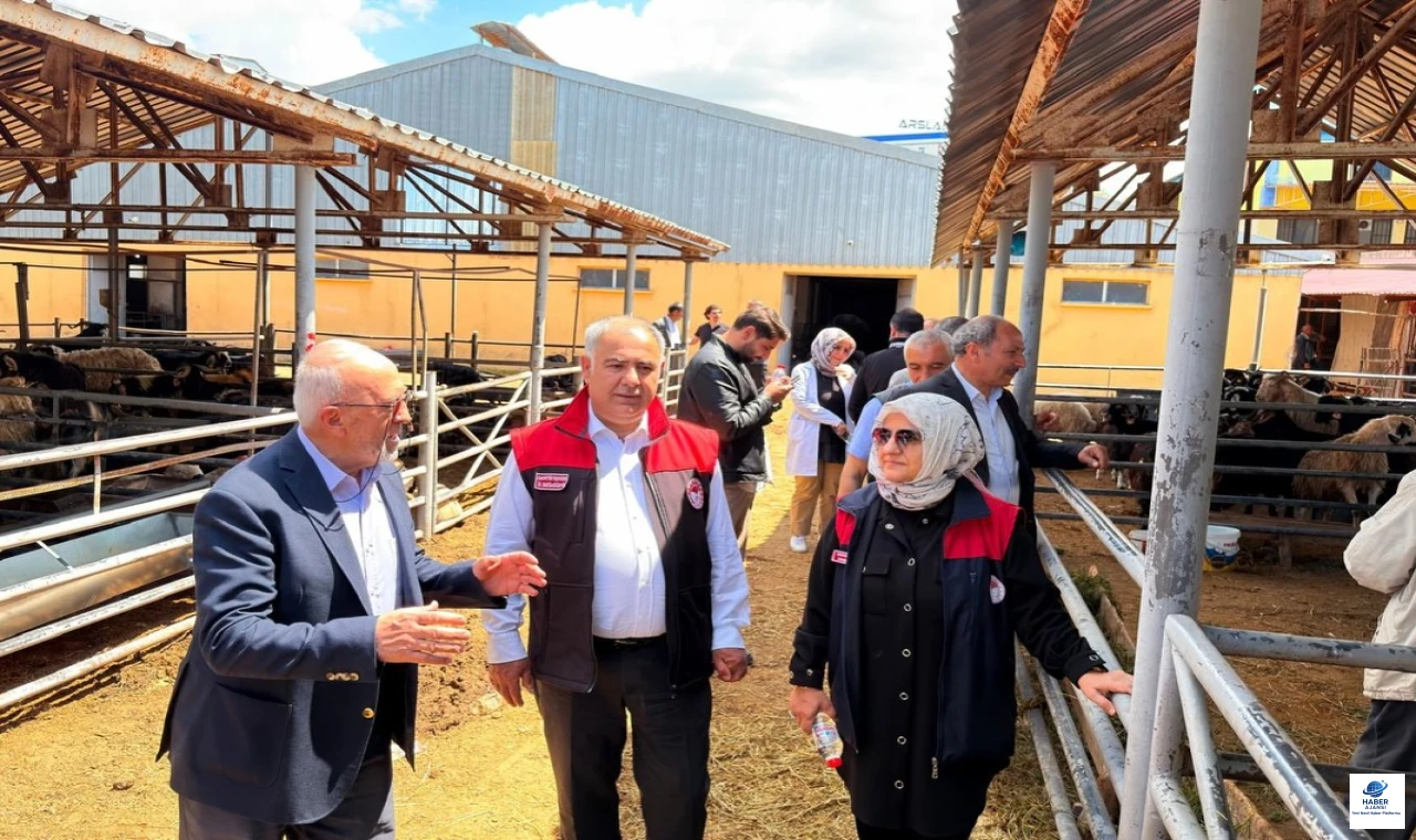 Kurban Bayramı Öncesi Hayvan Pazarı Yerinde Denetlendi