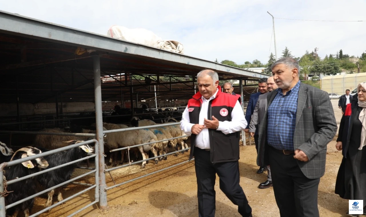 Kurbanlık Satış ve Kesim Alanlarında Sıkı Denetim