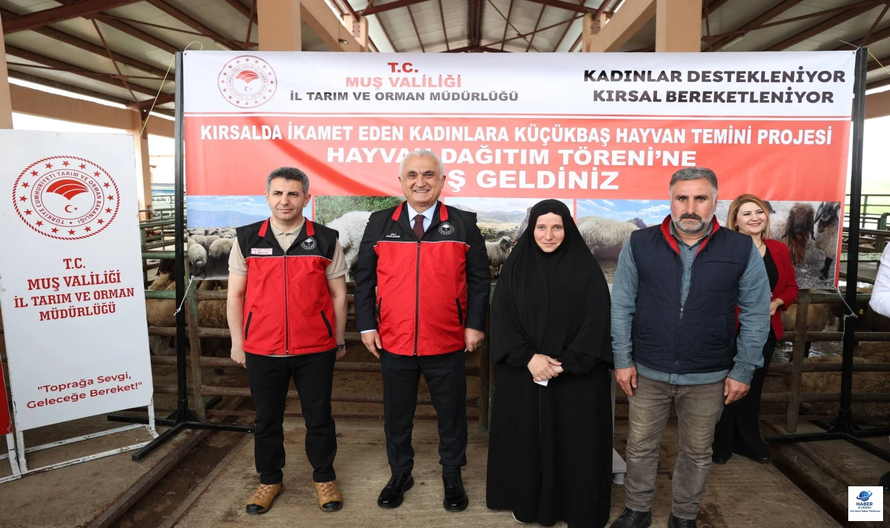 Muş'ta Kırsaldaki Kadınlara Küçükbaş Hayvan Desteği