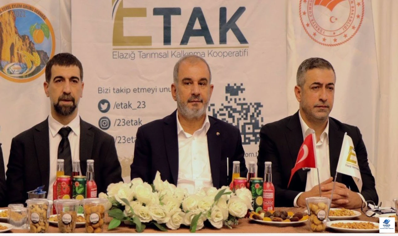 Baskil Kayısı Markalaşıyor: Kayısı Çalıştayı Düzenlendi