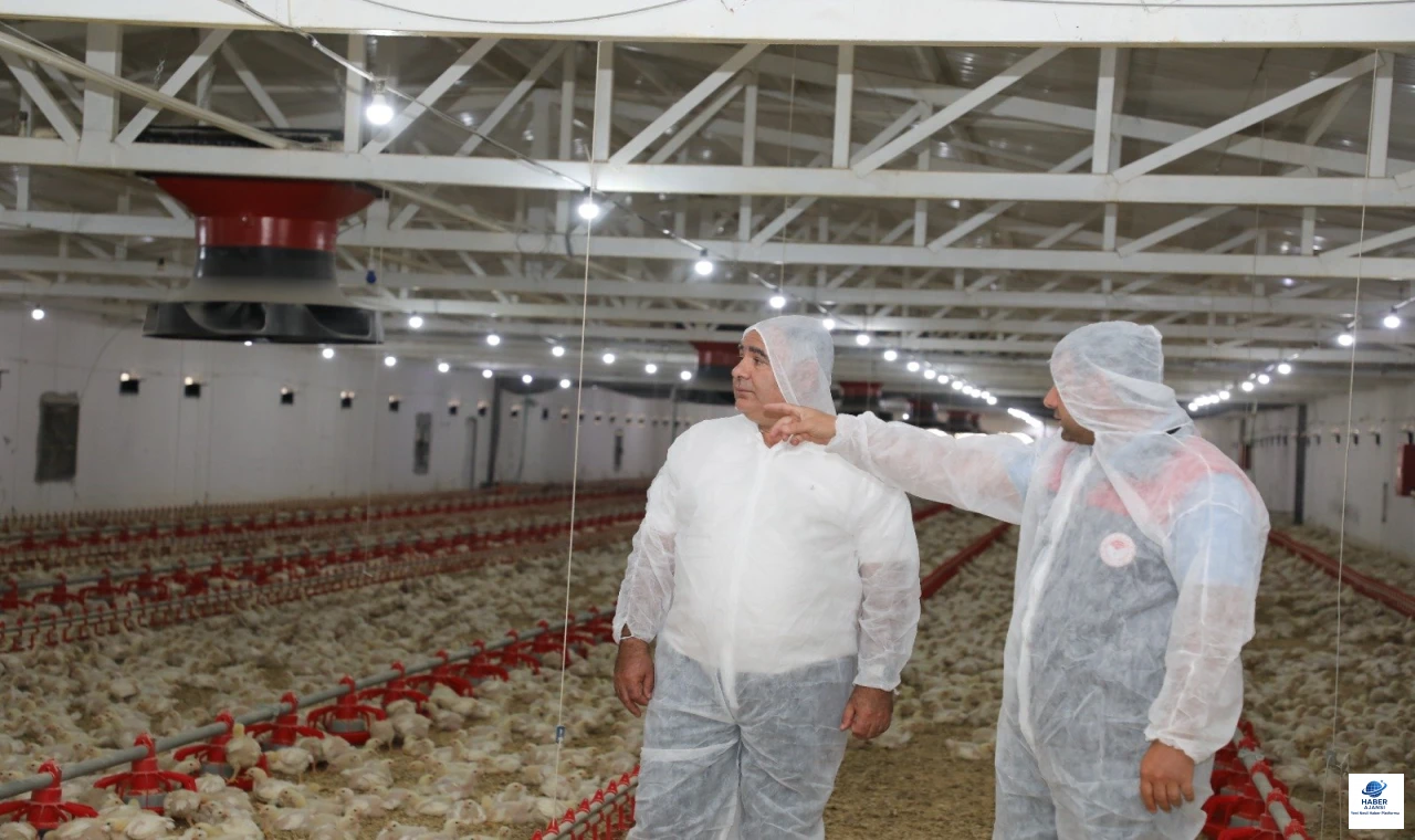 Elazığ'da Kanatlı Üretimine 4,9 Milyon TL Hibe Desteği