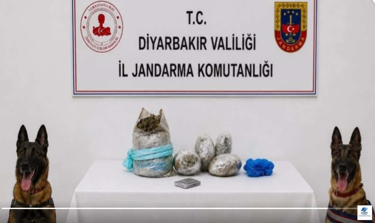 Diyarbakır’da Uyuşturucu Operasyonu: 217 Bin   Kök Kenevir ve Skunk İmha Edildi