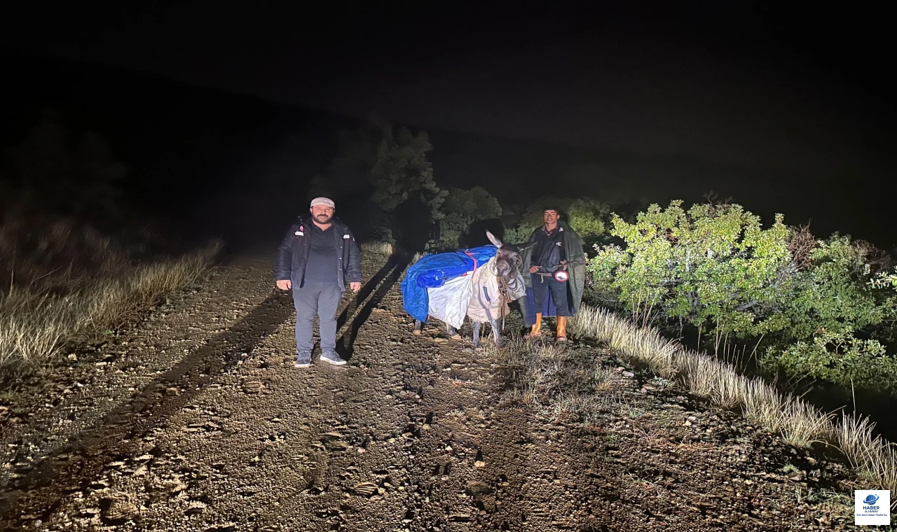 Elazığ'da Mahsur Kalan Çoban ve 200 Küçükbaş Hayvan Kurtarıldı