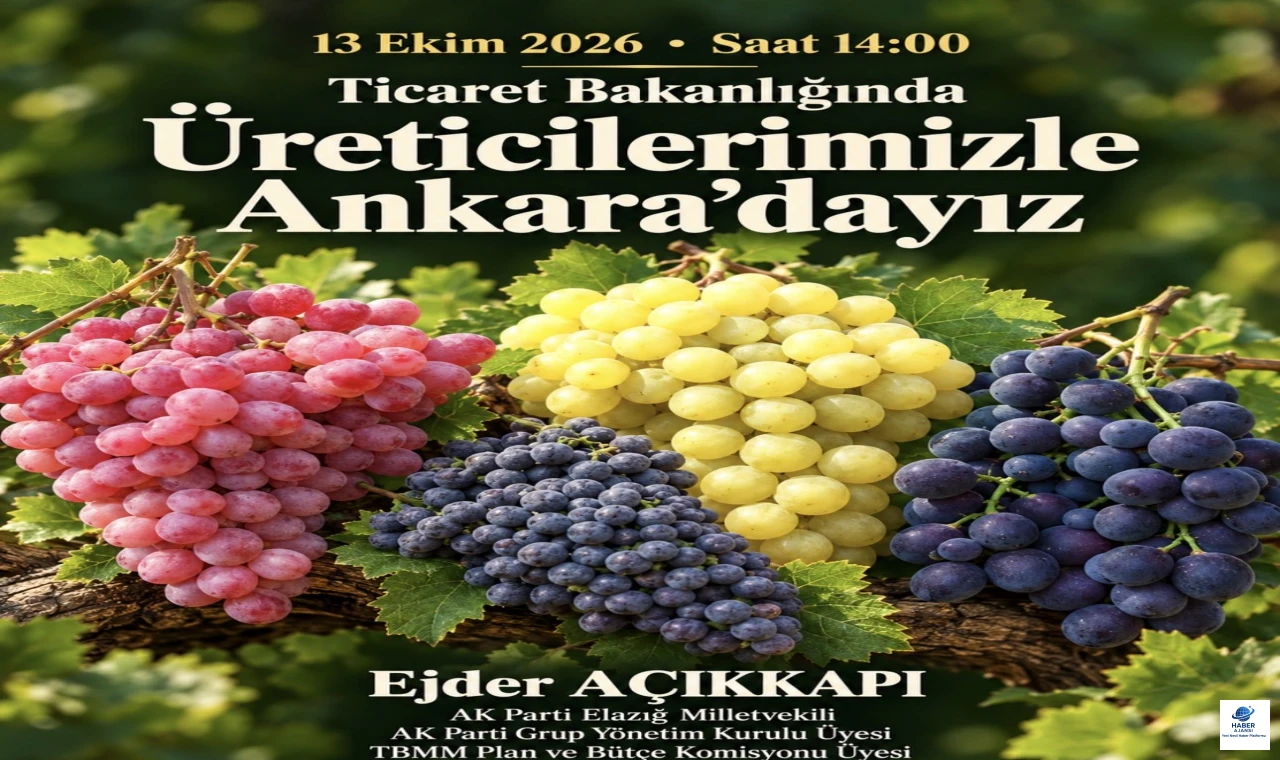 Elazığlı Üzüm Üreticilerinin Satış Sorunu Meclis'e Taşınıyor