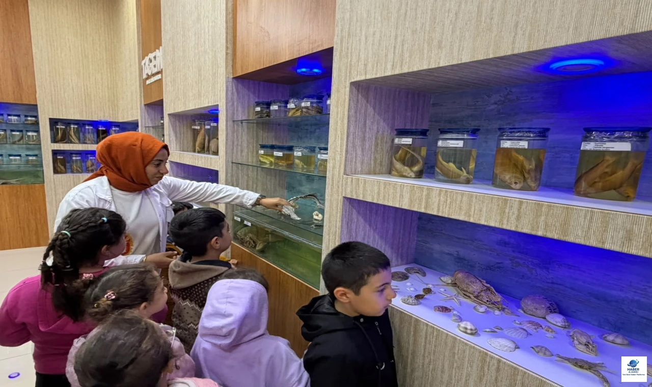 Minik Öğrenciler Balık Müzesi ve Akvaryumu Keşfetti
