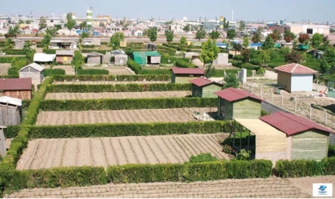 Hobi bahçelerindeki hukuk garabeti TBMM'de