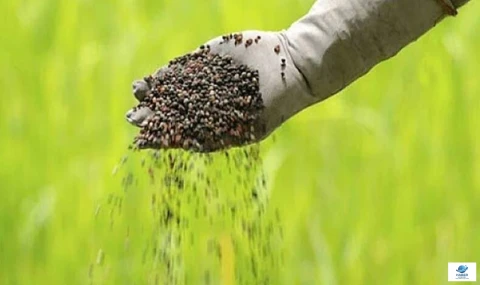 Savaş tarlayı da vurdu: Üre fiyatı bir haftada uçtu, çiftçi gübre alamaz oldu!