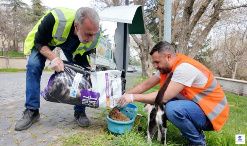 Elazığ Belediyesi'nden Sokak Hayvanları İçin Mama Ve Su Desteği