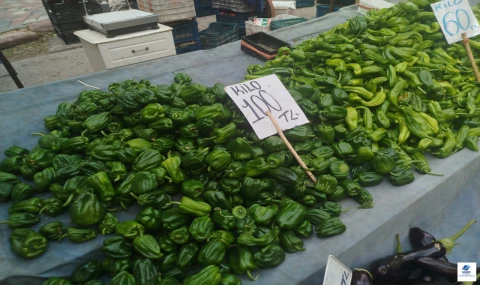 Elazığ Pazartesi Pazarı’nda fiyatlar sabit: Dolu ve yağış sebze-meyveyi vurmadı