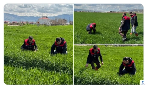 Elazığ Tarım ve Orman İl Müdürlüğü’nden üreticilere yağış uyarısı: Kök hastalıklarına karşı dikkat!