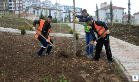 Elazığ Belediyesi kent genelinde yeşillendirme çalışmalarına başladı