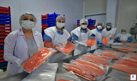 Elazığ, Türk Somonu Üretiminde Türkiye Birincisi Oldu