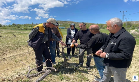 Elazığ’da üreticilere bağcılıkta “Tarla Okulu” eğitimi