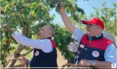 Vali Numan Hatipoğlu, Obuz Köyü’nde Kiraz Hasadı Programına Katıldı