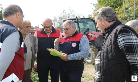 Elazığ'da silajlık mısır hasadı başladı